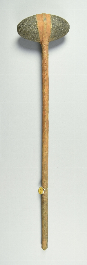 NA3584
