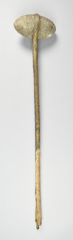 NA11869