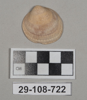 29-108-722
