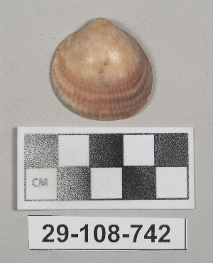 29-108-742