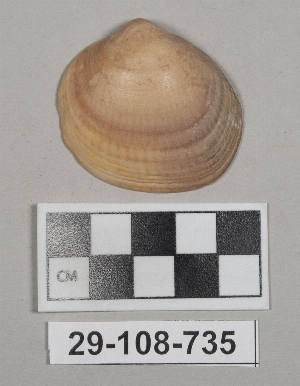 29-108-735