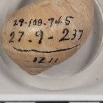 865349