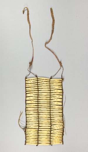 NA5210