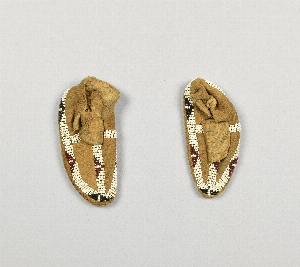 NA4931.1