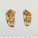 868080