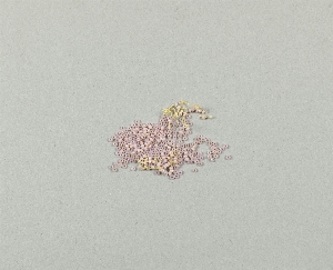 45-15-1613