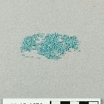 868806