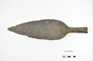 E10829