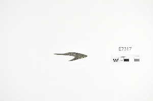 E7317