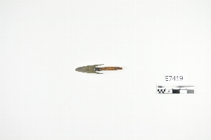 E7419