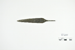 E7290