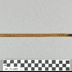 869506