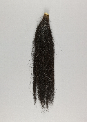 CG041290-2080