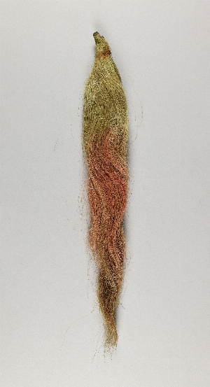 CG041290-2081