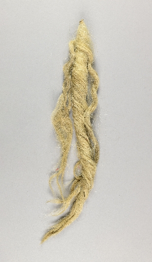 CG041290-2084