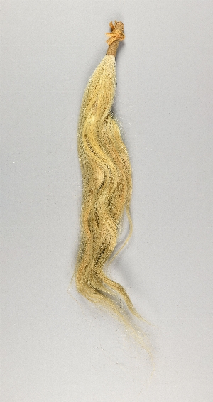 CG920212-2440
