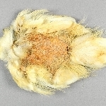 869968