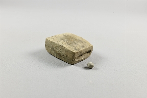 CG020491-2110