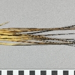 870752