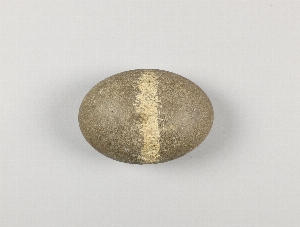36953