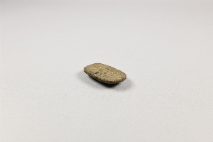 NA1281