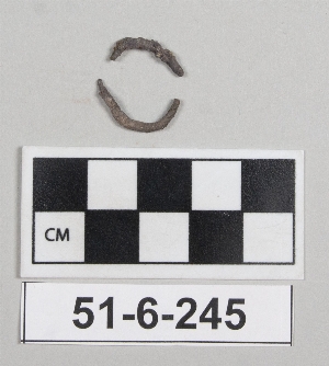 51-6-245