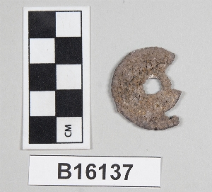 B16137