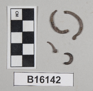 B16142