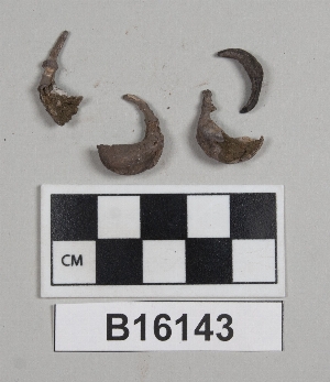 B16143
