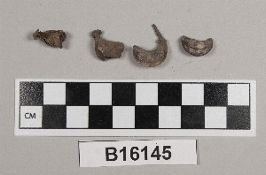 B16145