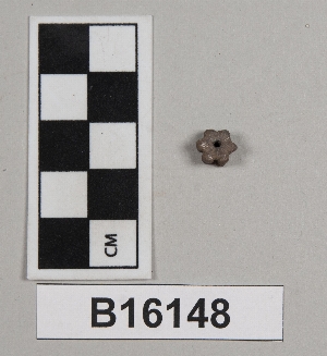 B16148