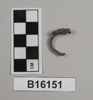 B16151