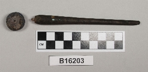 B16203