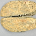 871537