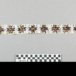 872014