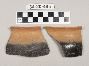 34-20-495