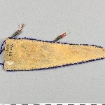 873097