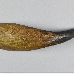 873648