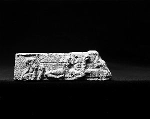 MS2139