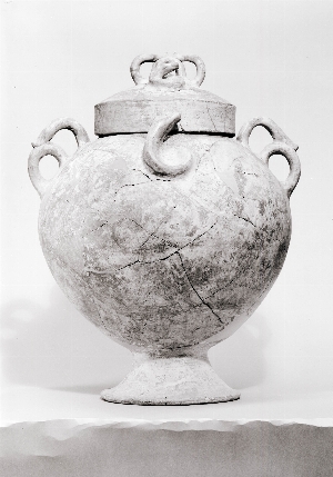 MS3257A