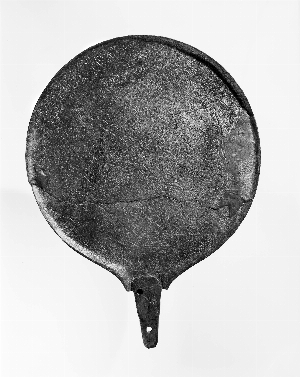 MS5444