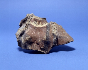 MS2237