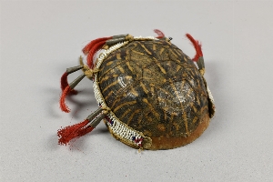 NA5429