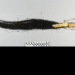 874818