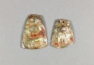 NA5414.1