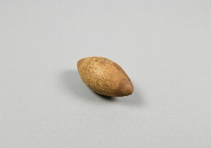 NA5499