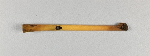 NA10599