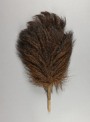 NA10617