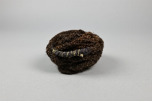 NA10713