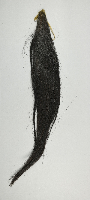 NA10615